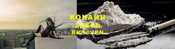 гашик Алексеевка