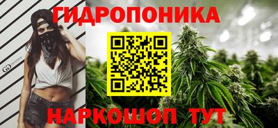 тгк Шелехов