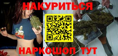 гидра Шахты