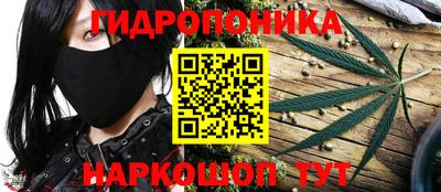 тгк Шелехов