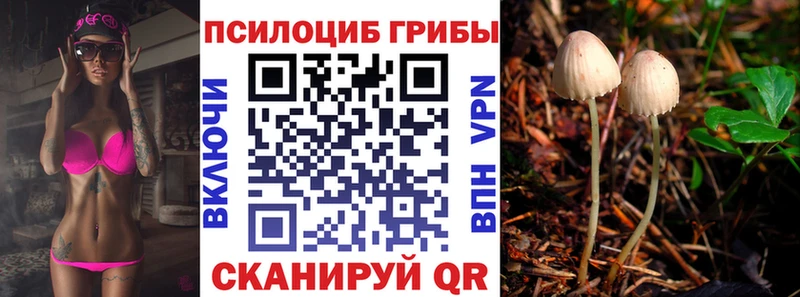 Галлюциногенные грибы прущие грибы  купить  сайты  mega зеркало  Кореновск 