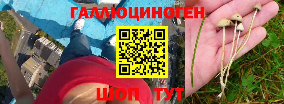 Псилоцибиновые грибы ЛСД  Галлюциногенные грибы Psilocybe  Кореновск  Вход с VPN 