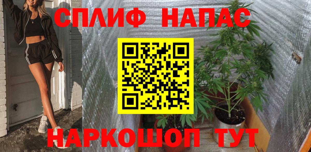 Бошки марихуана сатива Кореновск